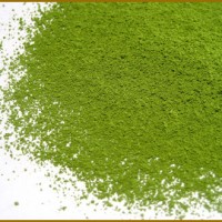 thé vert en poudre