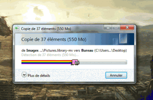 transfert nyan cat